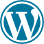 Icon Wordpress
