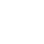 Icone Instagram
